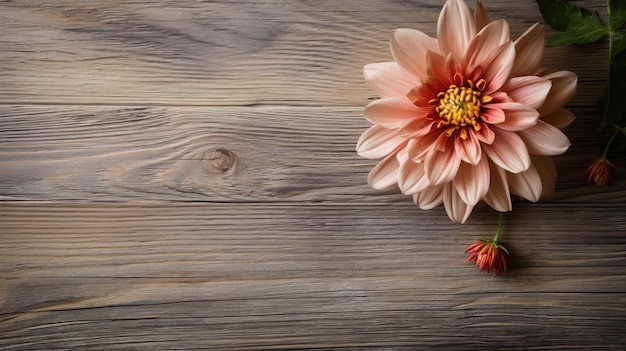 Flor de fondo de madera botánica