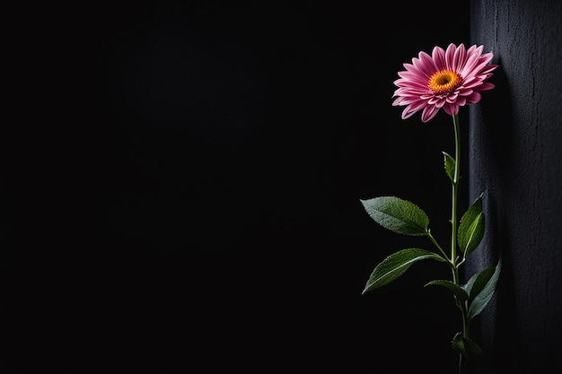 Foto flor en fondo oscuro diseño foto de fondo listo