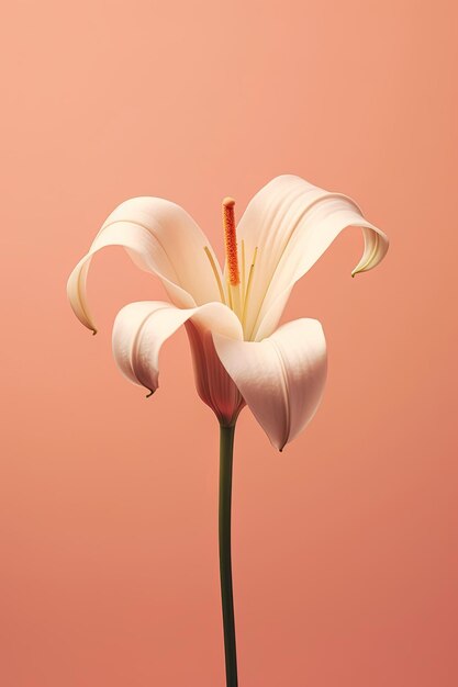 Foto una flor con un fondo rosa