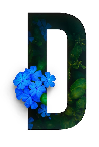 flor_font_alphabet_d_made_of_real_alive