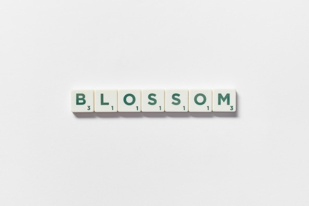 Flor formada de fichas de Scrabble sobre fondo blanco.