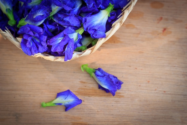 Flor fresca del guisante de mariposa, Clitoria ternatea en tablón de madera