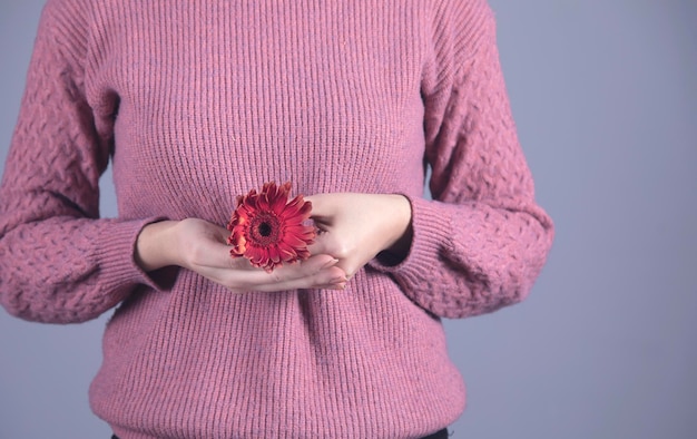 Flor de gerbera de mano de mujer