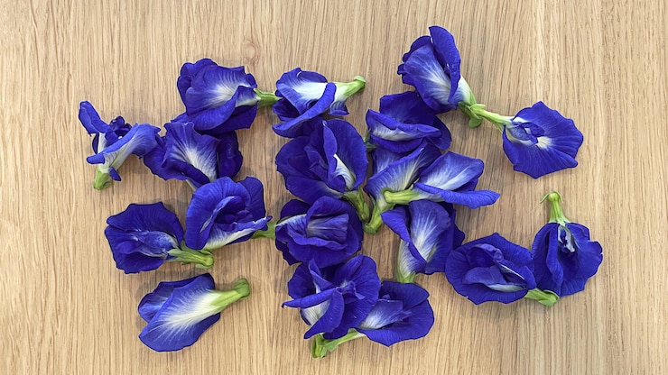 Foto flor de guisante de mariposa sobre mesa de madera clitoria ternatea