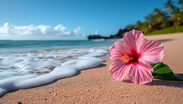 Foto flor de hibisco rosa en la playa con fondo de olas marinas