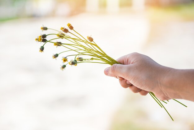 Flor de hierba en la mano en el día de verano