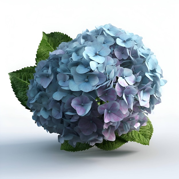 Flor de hortensia azul aislado sobre fondo blanco 3d render