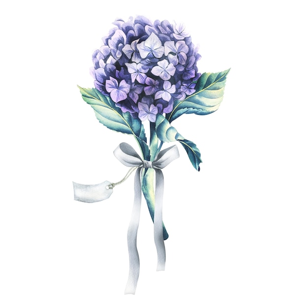 Una flor de hortensia lila con un lazo de raso y una etiqueta de papel para la inscripción Ilustración de acuarela Un objeto aislado de la colección FLORES DE BODA Para el diseño y diseño de impresión