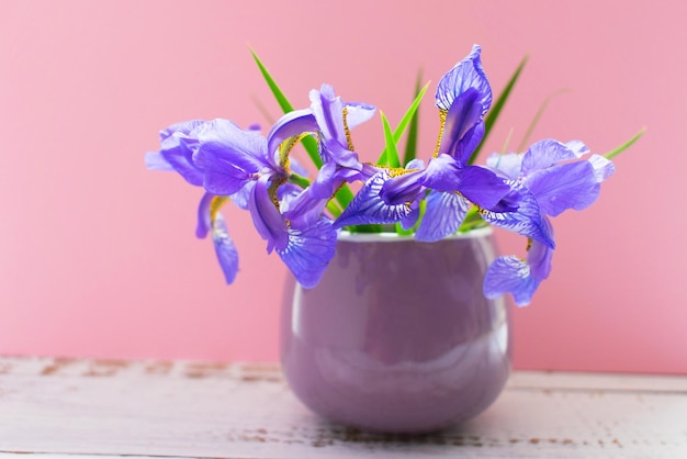 Flor de iris azul