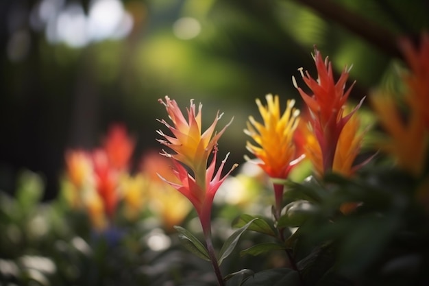 Una flor en un jardín con un sol brillando sobre ella.