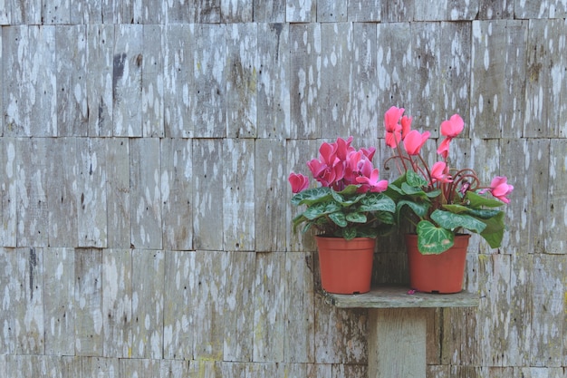 Foto flor en una jardinera en el estante de madera