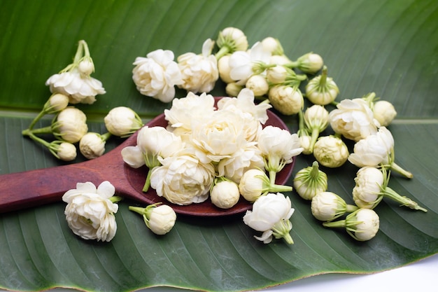 Flor de jazmín en hoja de plátano