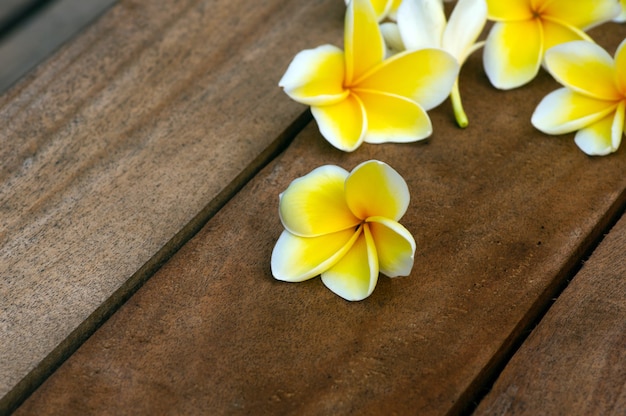 Flor Kamboja (Plumeria), un género de plantas con flores de la familia Apocynaceae, también conocida como flores Lei y Frangipani, en foco superficial sobre una mesa de madera