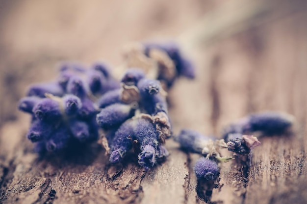 Flor de lavanda en superficie de madera