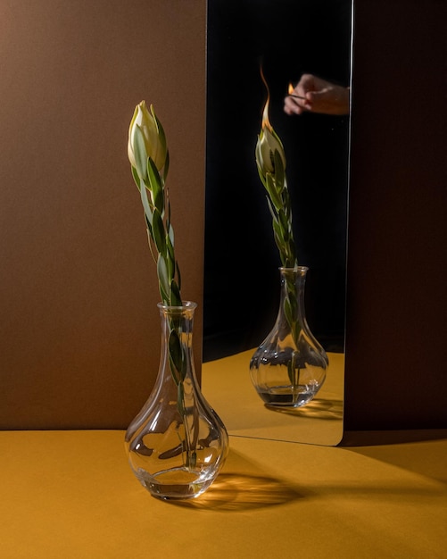 Flor de leucadendron recién cortada sobre fondo marrón macro vista bodegón de flores