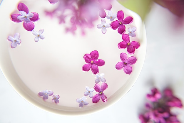 Flor lila de cinco puntas entre flores lilas en una taza con agua. Ritual de spa. Rama lila con flor de 5 pétalos.