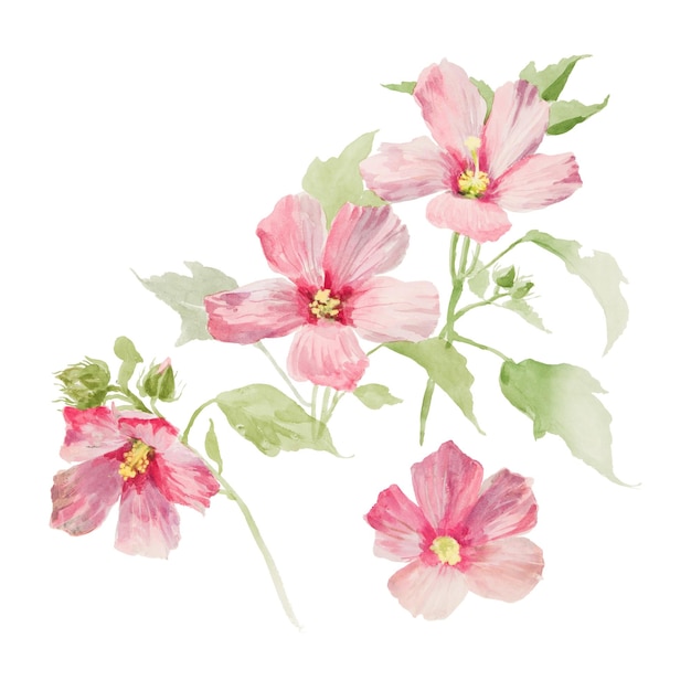 Flor de mallow png acuarela elemento de ilustración fondo transparente Remezclado de obras de arte vintage por rawpixel