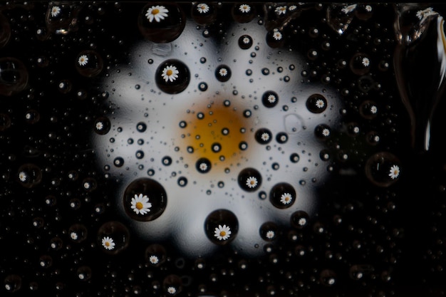Flor de manzanilla en pequeñas burbujas de agua