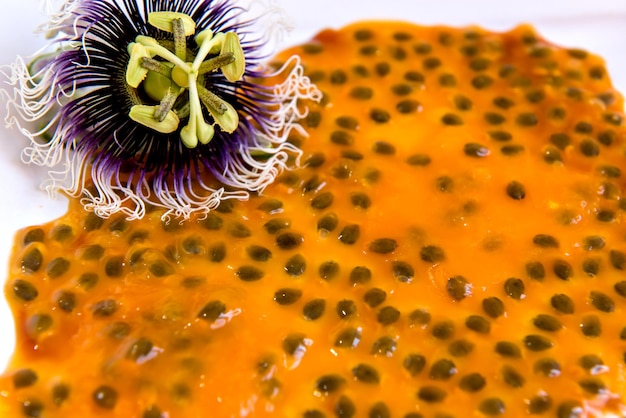 Flor de maracuyá y fondo de textura de pulpa de maracuyá