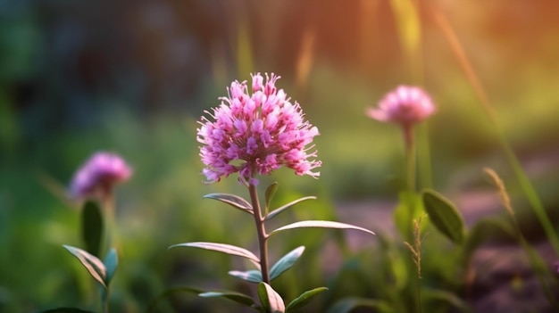 Flor de Meadow Bistort bellamente florecida con fondo natural IA generativa