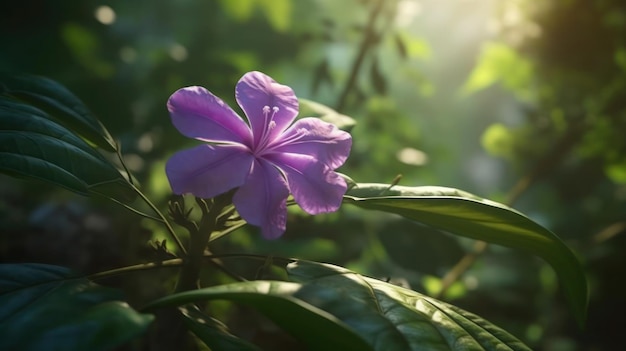 Una flor morada al sol