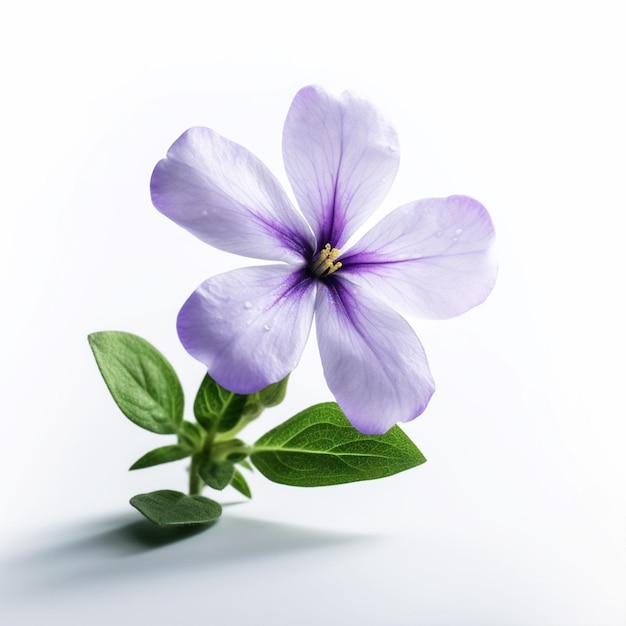 Una flor morada con hojas verdes y un tallo verde.