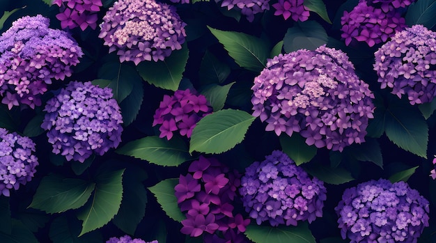 Una flor morada y verde con una hoja verde que dice 'hortensia'