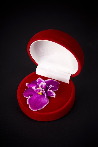 Foto flor na caixa de presente vermelha