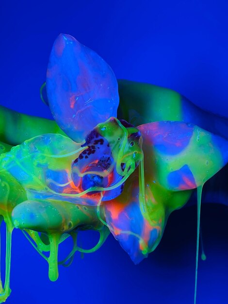 Foto flor de orquídea cubierta de pintura
