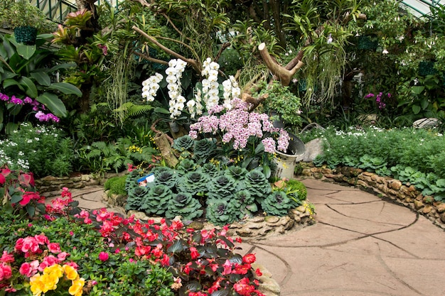 Flor de orquídea con decoración de repollo en el jardín