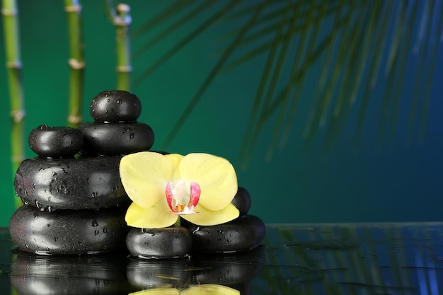 Flor de orquídea con gotas de agua y piedras de guijarros sobre fondo de colores oscuros