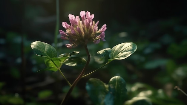 Una flor en la oscuridad