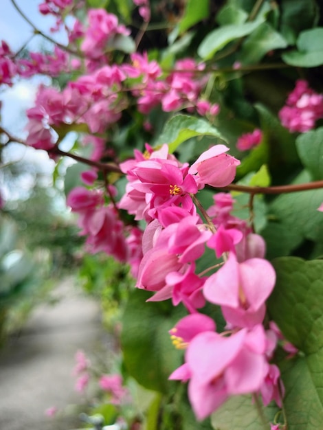 Flor de papel