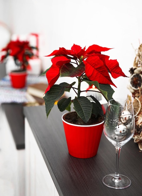 Flor de pascua de Navidad y adornos en el estante con adornos navideños, sobre fondo claro