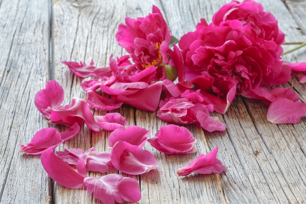 Flor de peonía rosa en madera