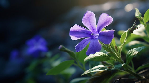 La flor de la pervinca es una foto generada por la IA.