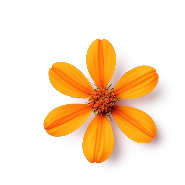 Una flor con pétalos de naranja que dice " naranja brillante "