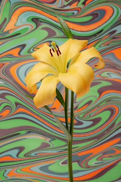 Flor con pintura psicodélica