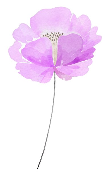 Flor planta estilo acuarela