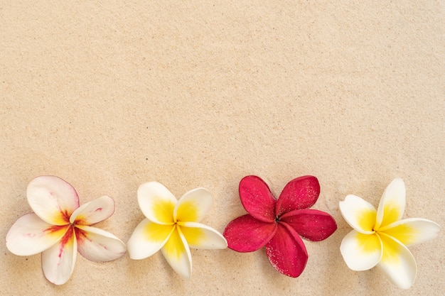 Flor del Plumeria en fondo marrón de la arena.