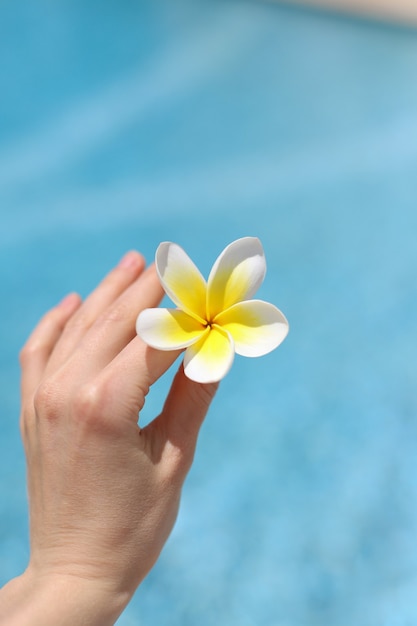 Flor de plumeria en la mano de una niña contra la superficie de una piscina azul