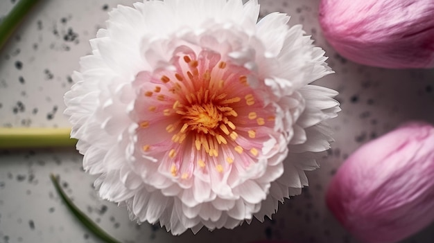 Flor de primavera el día de Pascua