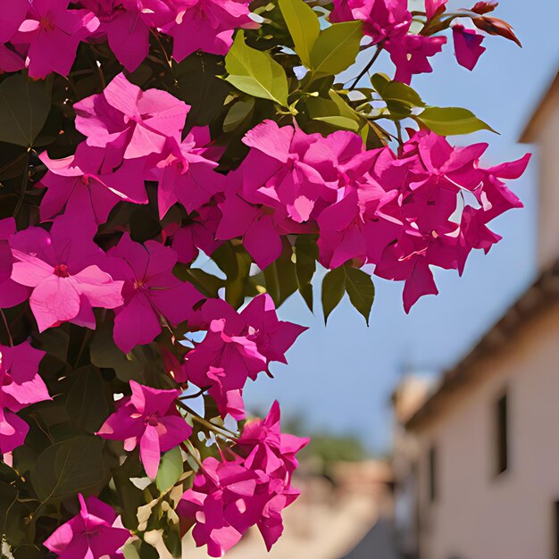 Foto una flor púrpura está colgada de un árbol