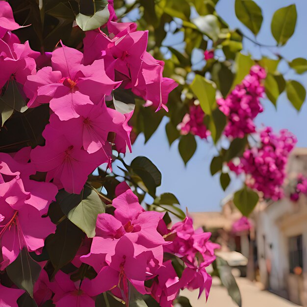 Foto una flor púrpura está colgando de un árbol con una casa en el fondo