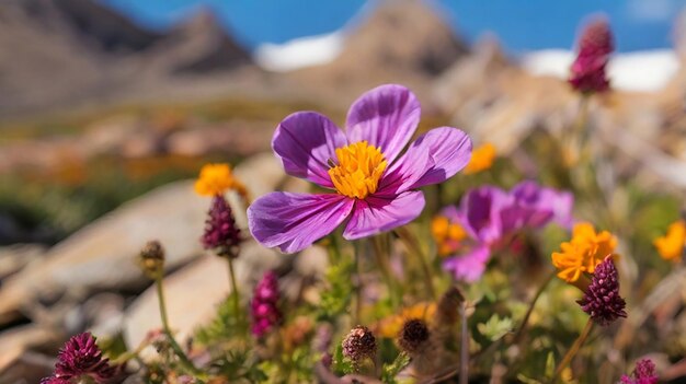 una flor púrpura está en un campo de flores