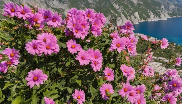 una flor púrpura está delante de un lago