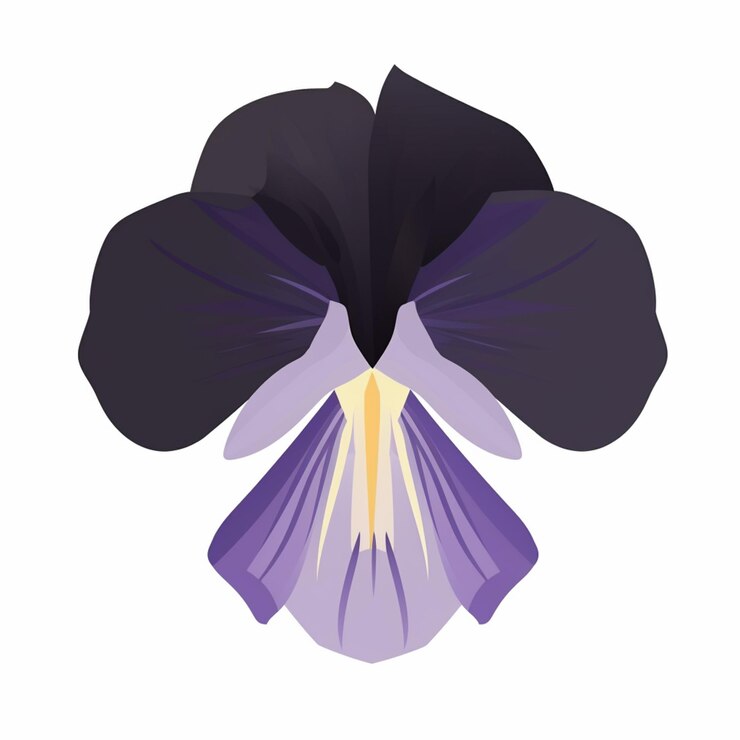 Foto flor púrpura y negra con centro amarillo en fondo blanco generativo ai
