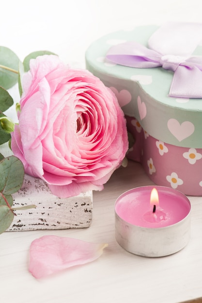 Flor de ranúnculo rosa con caja de regalo