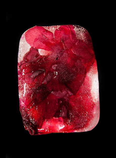 Foto flor roja en cubo de hielo en la mesa