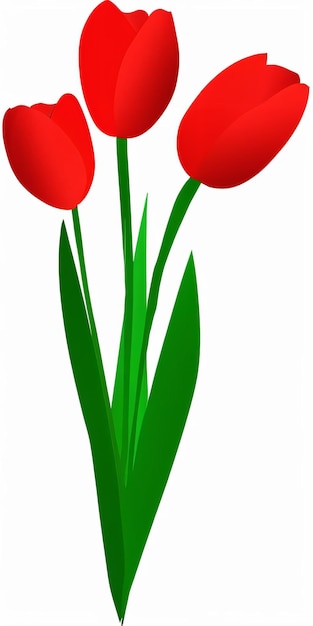 Flor roja con fondo blanco